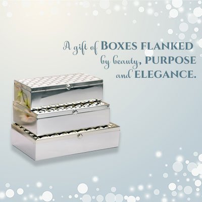 Banner Of Silver Box Set